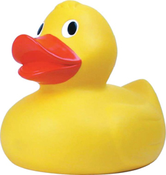 duck2